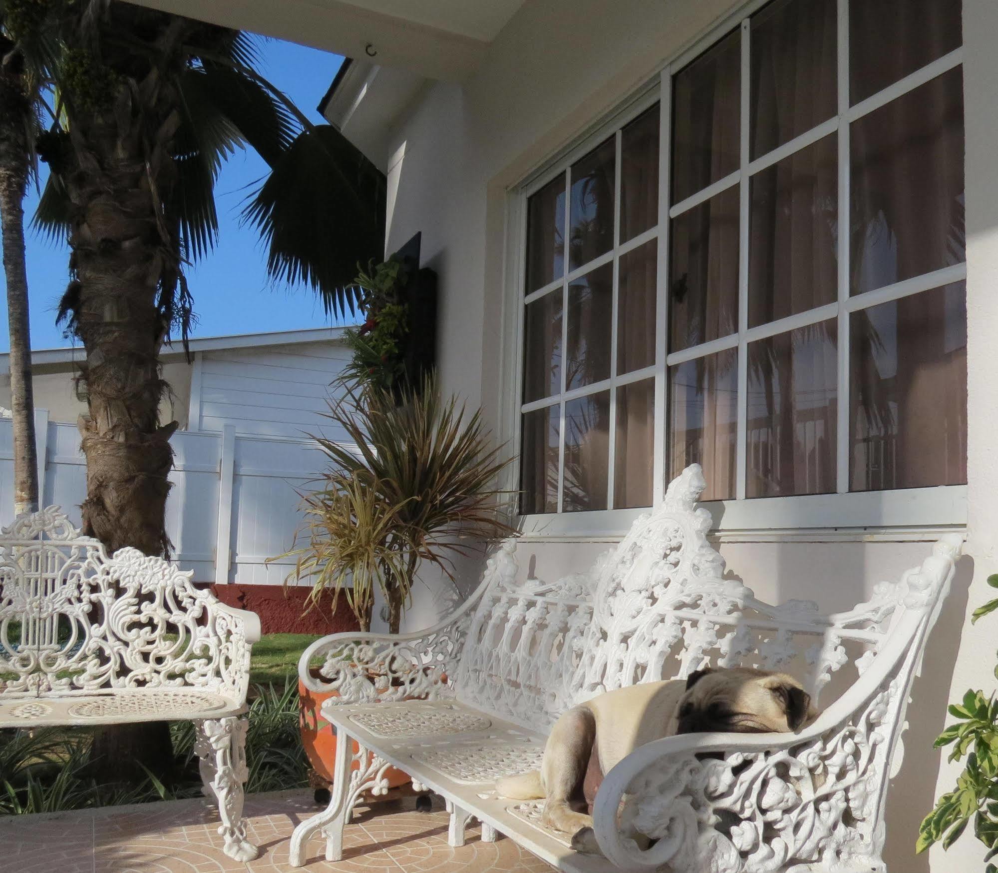 San Andrés Hostal Mar Y Mar מראה חיצוני תמונה